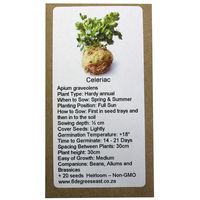 6 Degrees East Heirloom Veg Seeds - Celeriac - Sedano Rapa